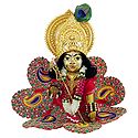 Bal Gopala in Gorgeous Dress with Gold Plated Ornaments