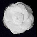White Rose Hair Band (can be used as Brooch also)