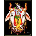 Young Krishna on Cow