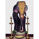 Decorated Mysore Elephant