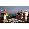 Fishermen Photo - Unframed Photo Print on Paper