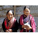Wizened Beauties from Keylong -  Himachal Pradesh, India