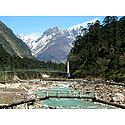 Foot Bridge to Yumthang Hotspring - North Sikkim, India
