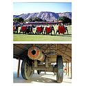 Elephant Procession at Amber Fort, Jaivana Canon at Jaigarh Fort, Jaipur - Set of 2 Postcards