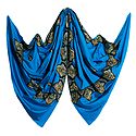 Cyan Blue Woolen Shawl with Embroidered Border 