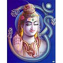 Shiva on Om
