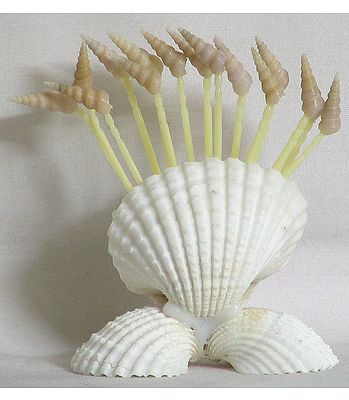 Shell Decoration Items