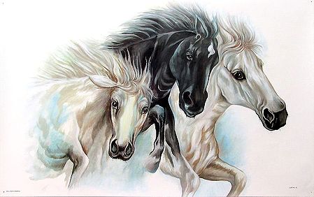 Horse Painting - Black and White Beauties