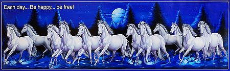White Horses Galloping Together