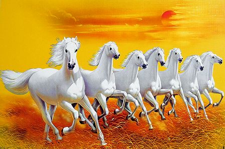 Graceful White Horses