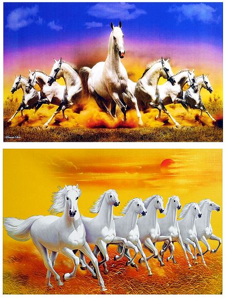 Graceful White Horses - Set of 2 Unframed Posters