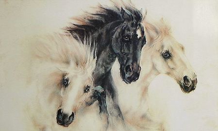 Three Wild Horses