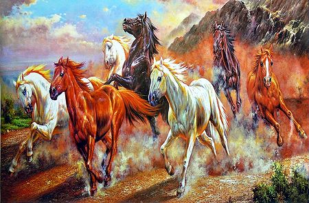 Graceful Wild Horses