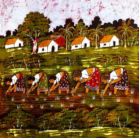 Village Women Planting Rice Paddy