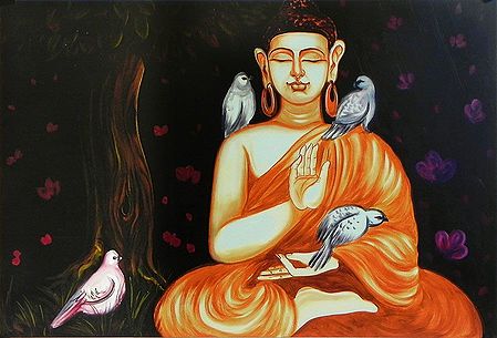 Birds Attracted to Meditating Lord Buddha