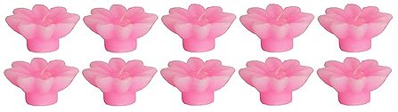 Set of Ten Rose Aroma Floating Wax Candles