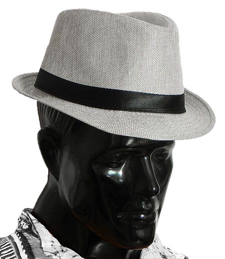 Light Grey Fedora Hat