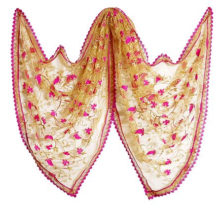 Light Brown Synthetic Net Dupatta with Embroidery