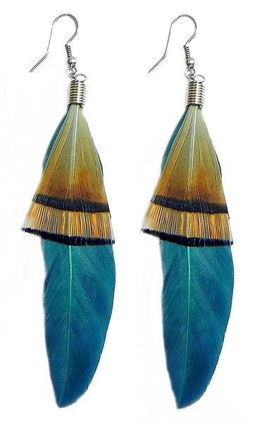 Cyan Blue with Brown Feather Earrings