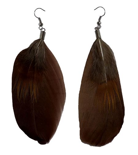 Dark Brown Feather Earrings
