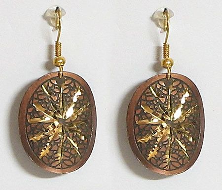 Rust with Golden Oval Disc Earrings