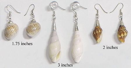 Three Pair Shell Earrings