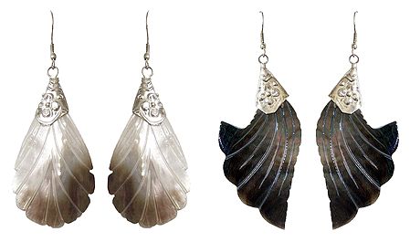 2 Pairs of Leaf and Flower Shell Earrings