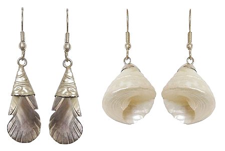 Set of 2 Pairs Shell Earrings