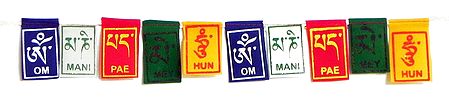 Om Mani Padme Hum Multicolor Bike Prayer Flag 