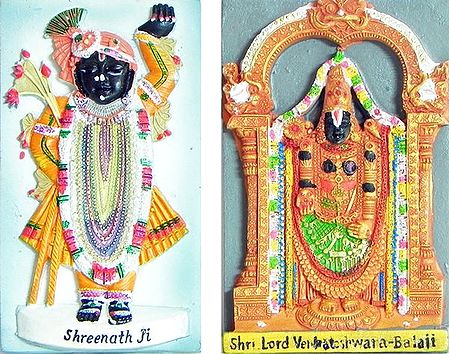 Balaji and Srinathji - Set of Two Magnets