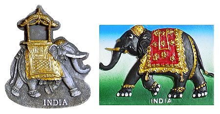 Royal Elephants - Set of 2 Magnet