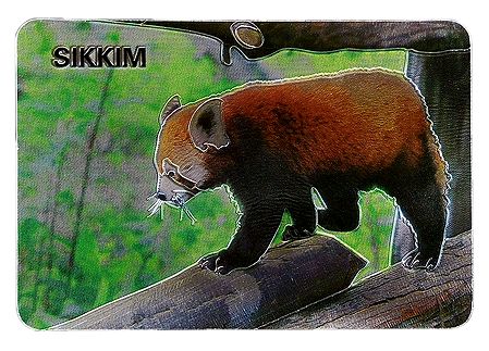 Red Panda - Metal Magnet