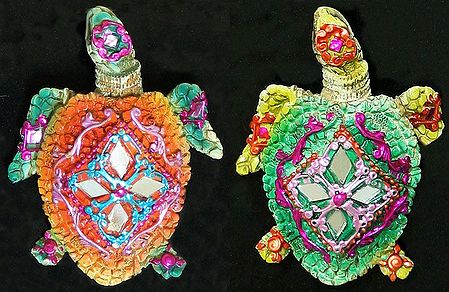 Two Colorful Tortoise - Set of Two Magnets