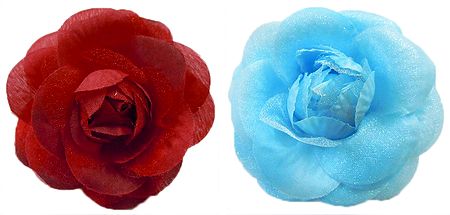Pair of Red and Blue Rose Hair Clip (can be used as Brooch also)
