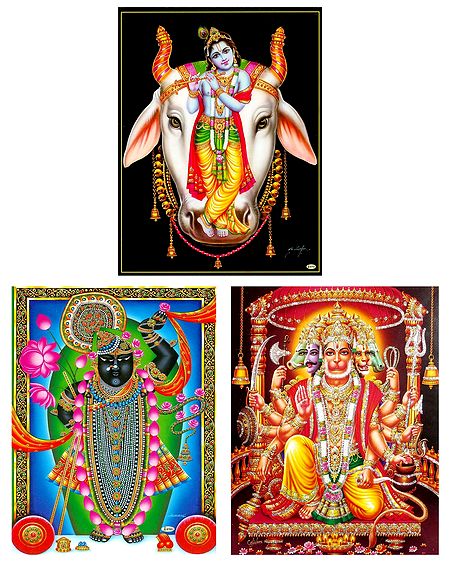 Krishna, Hanuman and Srinathji - Set of 3 Posters