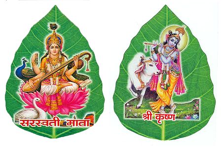 Krishna and Saraswati on Pipul Leaf - Set of Two Stickers