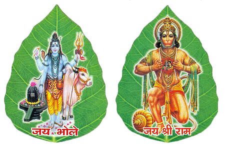 Shiva and Hanumann on Pipul Leaf - Set of Two Stickers