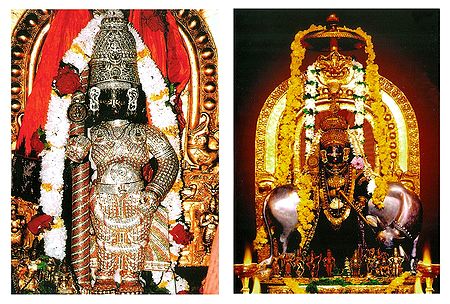 Lord Krishna in Udupi Temple - 2 Small Posters