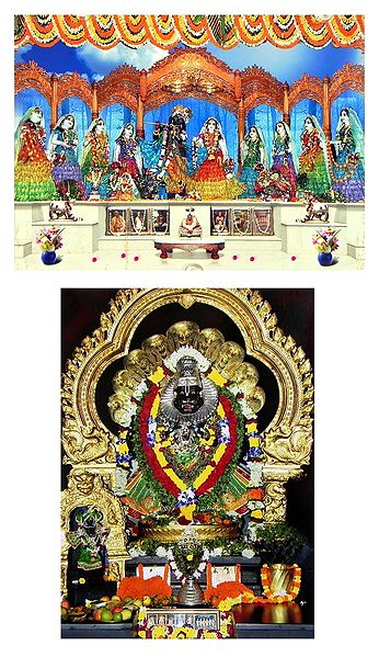 Radha Krishna and Narasimha Avatar - Set of 2 Photo Print