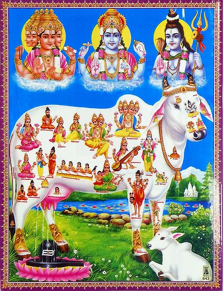 Kamadhenu - The Divine Cow