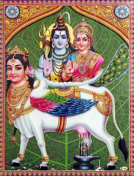 Kamadhenu with Shiva Parvati