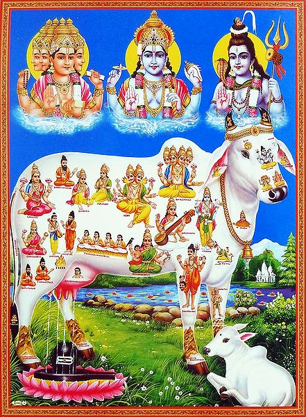 Kamadhenu - The Sacred Cow with Hindu Gods and Goddesses