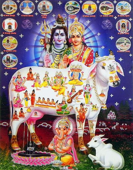 Kamdhenu, Shiva Parvati with Ganesha and Twelve Jytirlingas - (Laminated Glitter Poster)