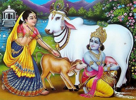 Krishna Milking Cow