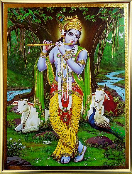 Nature Lover Krishna