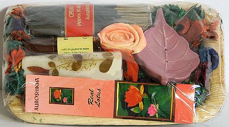 Leaf Gift Pack Consisting of Potpourri, Candle, Incense Sticks, Perfumed Oil and Leaf Incense Holder