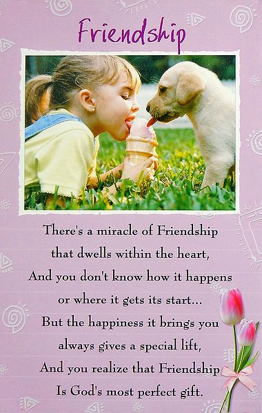 Miracle of Friendship