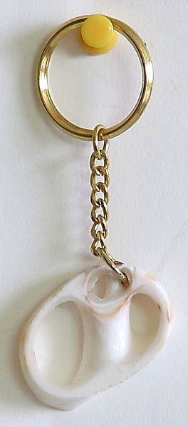 Designer Shell Key Chain