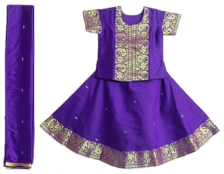 Purple Silk with Zari Border Lehenga Choli and Chunni