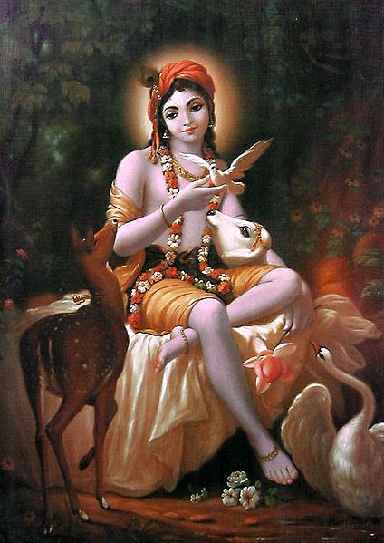 Animal Lover Krishna
